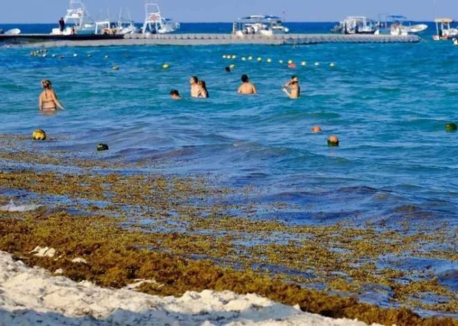 Cancún recibirá a líderes del Caribe para frenar la crisis del sargazo