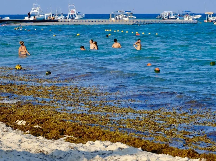 Cancún recibirá a líderes del Caribe para frenar la crisis del sargazo