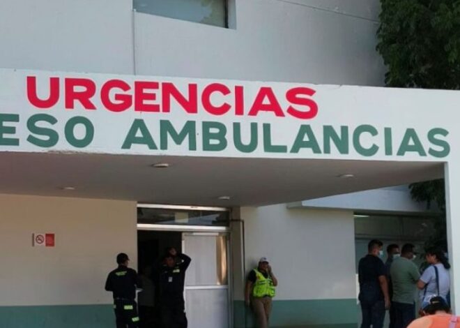 Hospitalizan a hombre tras sufrir ataque de abejas en Playa del Carmen