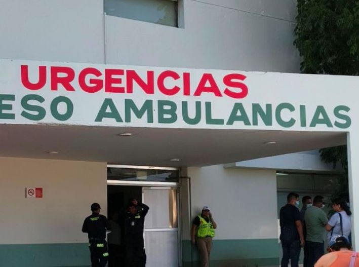 Hospitalizan a hombre tras sufrir ataque de abejas en Playa del Carmen