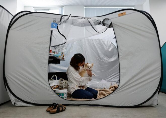 Hospital abre sus puertas a mascotas tras devastador terremoto en Japón