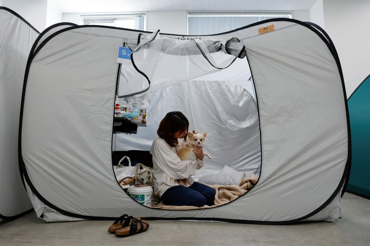 Hospital abre sus puertas a mascotas tras devastador terremoto en Japón