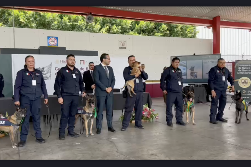 Adiós a cuatro héroes de cuatro patas en las aduanas de México