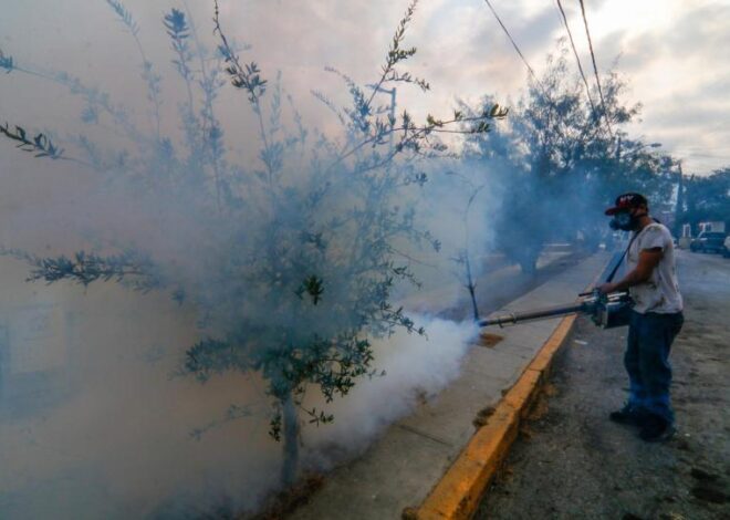 Dengue no da tregua: México suma casi 3 mil 900 casos