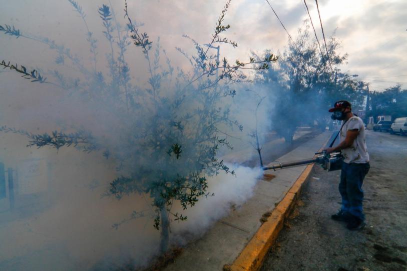 Dengue no da tregua: México suma casi 3 mil 900 casos