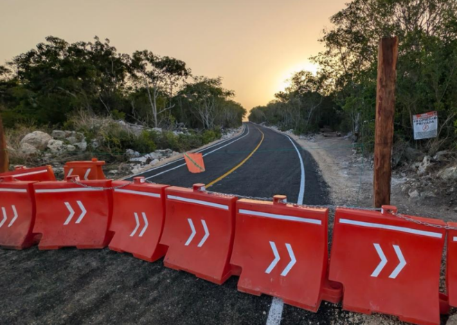 Camino “sacacosecha” toma forma de carretera y alerta a ambientalistas