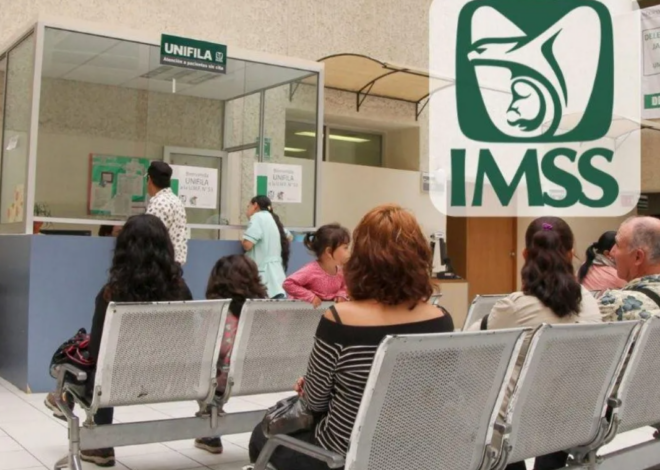 Empleo en México resiste: IMSS reporta ligera baja en julio