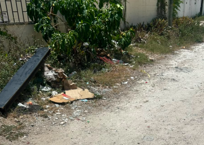 Calle Laurel, la otra cara de Cancún: Terracería y basura a pasos del Mercado 23