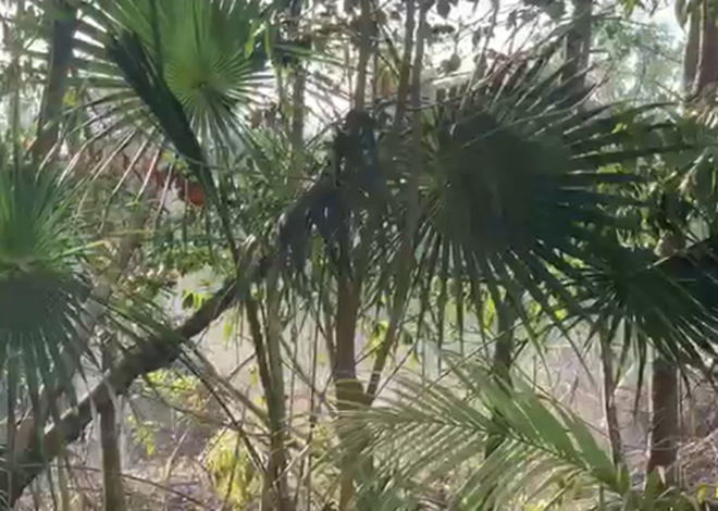 Vecinos de Selva Escondida 1 protestan en el Palacio Municipal por exceso de humo
