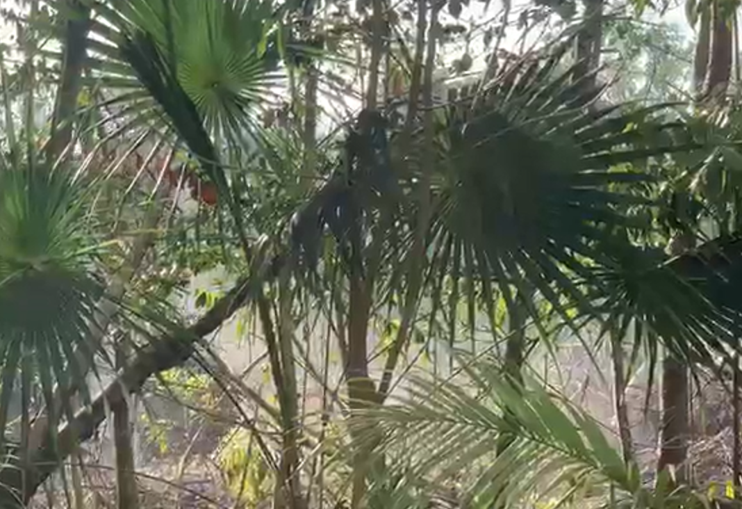 Vecinos de Selva Escondida 1 protestan en el Palacio Municipal por exceso de humo