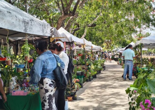 La Expo Plantas de Ornato llegan a el Parque Ecológico Kabah en Cancún