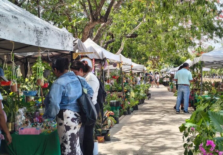 La Expo Plantas de Ornato llegan a el Parque Ecológico Kabah en Cancún