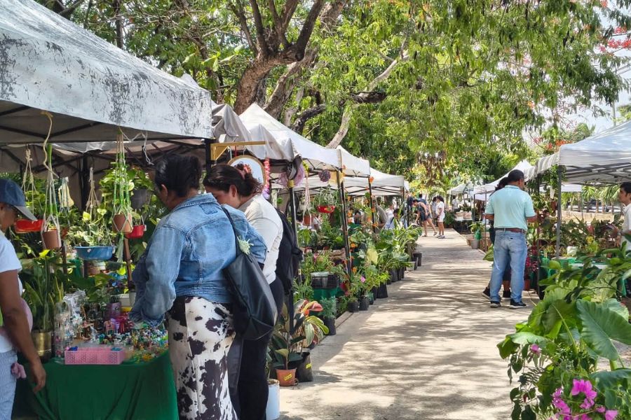 La Expo Plantas de Ornato llegan a el Parque Ecológico Kabah en Cancún