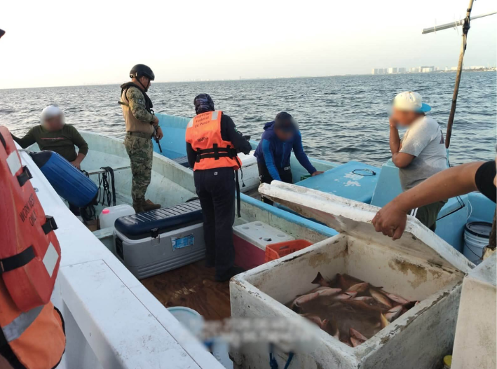 Retienen dos embarcaciones con 320 kilos de producto pesquero en Puerto Juárez