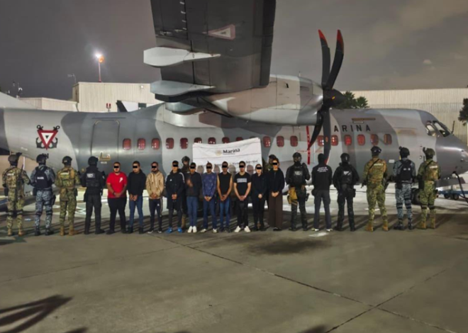 Tigres, panteras, armas y 113 vehículos: golpe al CJNG deja 20 detenidos