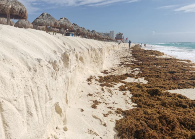 Cancún prepara estrategia integral para frenar la erosión de sus playas
