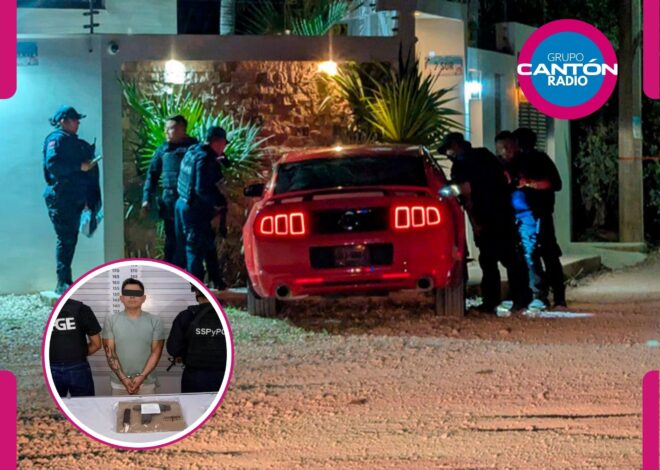 Acaban con las siete vidas de “El Gato” en Tulum