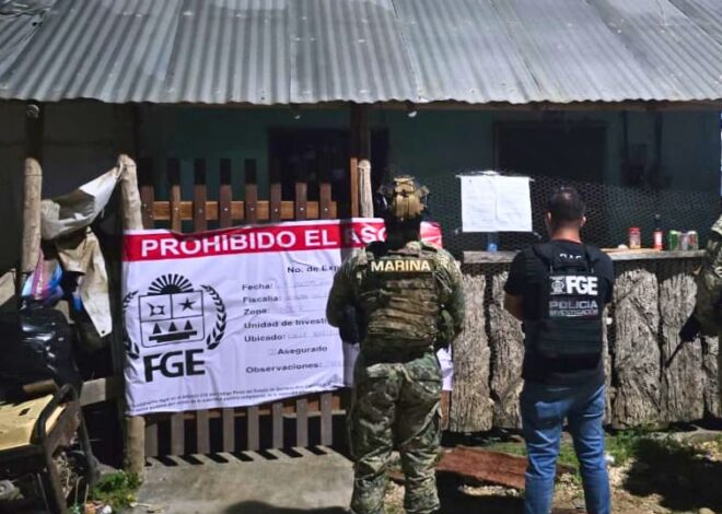 Desmantelan narcoinvernadero y aseguran arsenal en Lázaro Cárdenas