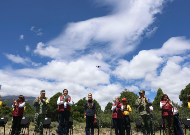 Sheinbaum encabeza reforestación histórica: 6.6 millones de árboles en un solo día