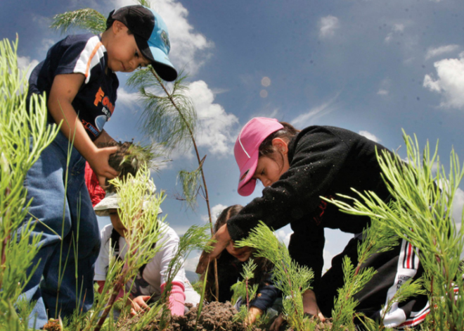 Sheinbaum encabezará Jornada Nacional de Reforestación con los 32 gobernadores el próximo domingo