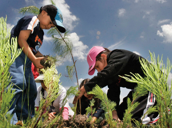 Sheinbaum encabezará Jornada Nacional de Reforestación con los 32 gobernadores el próximo domingo