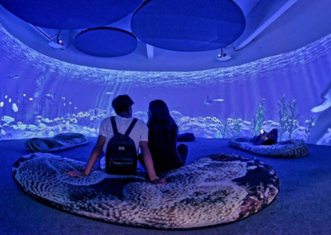 Universum convierte el cerebro, el azúcar y el protector solar en experimentos de verano