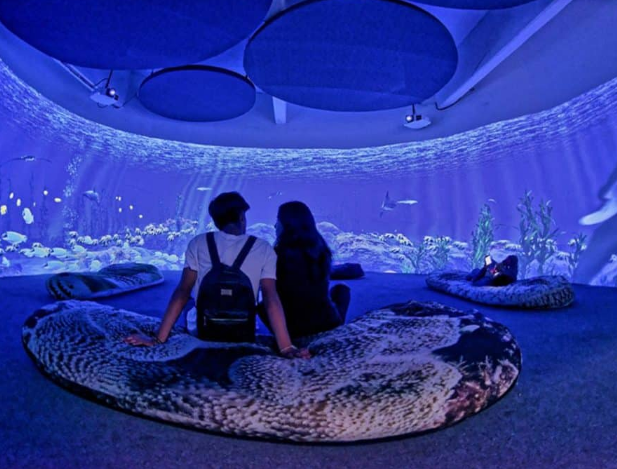 Universum convierte el cerebro, el azúcar y el protector solar en experimentos de verano