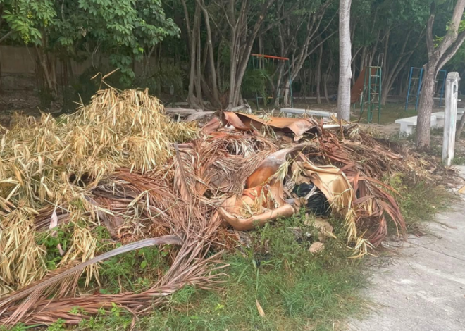 Vecinos denuncian acumulación de basura y malos olores en Cancún
