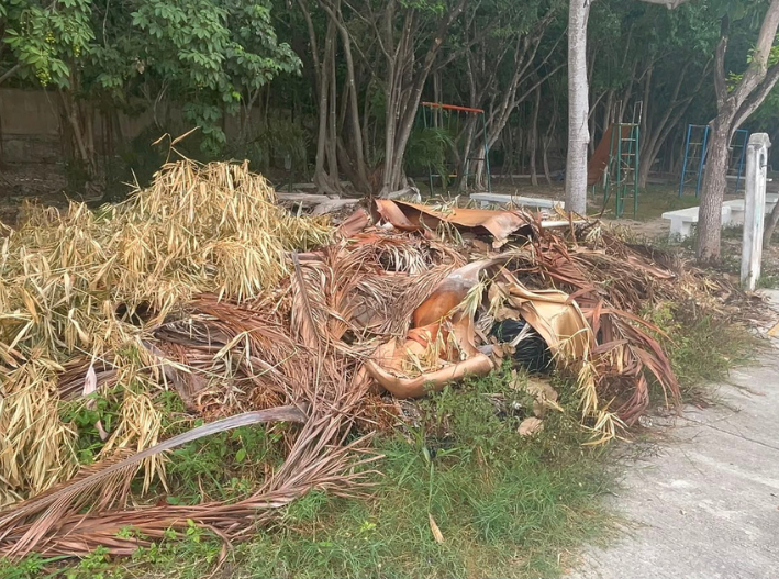 Vecinos denuncian acumulación de basura y malos olores en Cancún