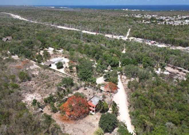 Tras siete años, dueño de 37 hectáreas en Akumal se acerca a recuperar su tierra