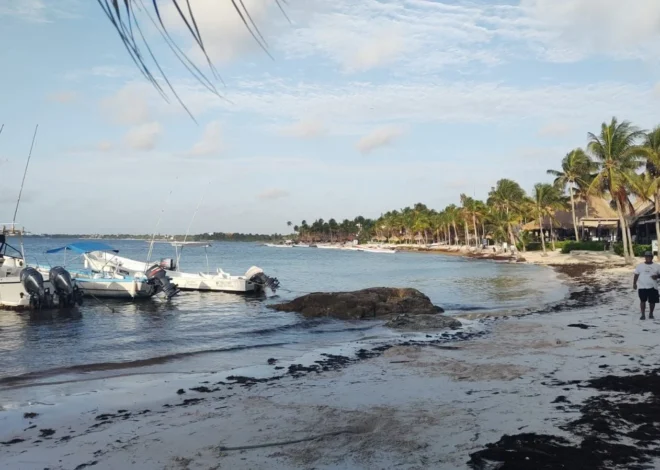 Entre sargazo y erosión de playas: Akumal enfrenta otro golpe
