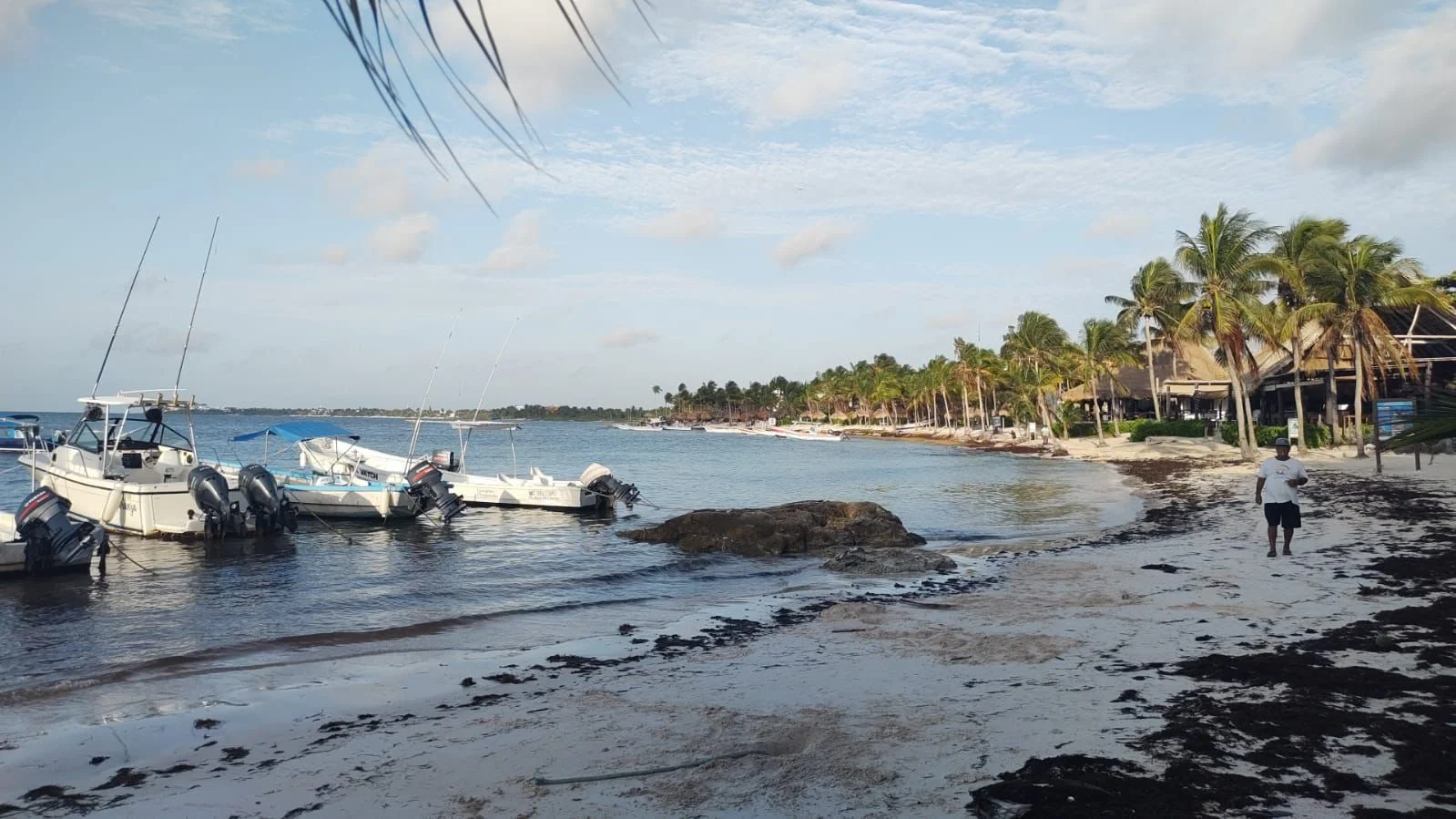 Entre sargazo y erosión de playas: Akumal enfrenta otro golpe