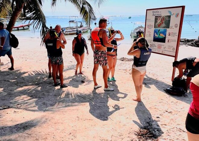 Tortugas se toman un respiro: Akumal suspende el nado en septiembre