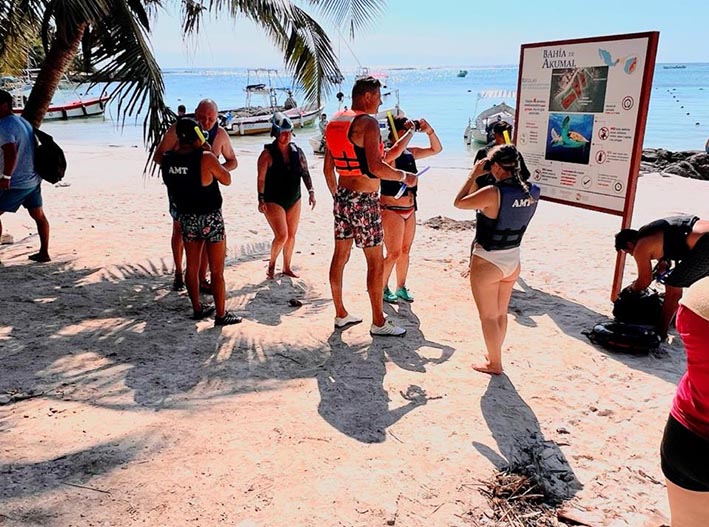 Tortugas se toman un respiro: Akumal suspende el nado en septiembre