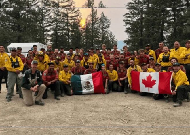 México despliega 422 brigadistas para combatir incendios en Canadá
