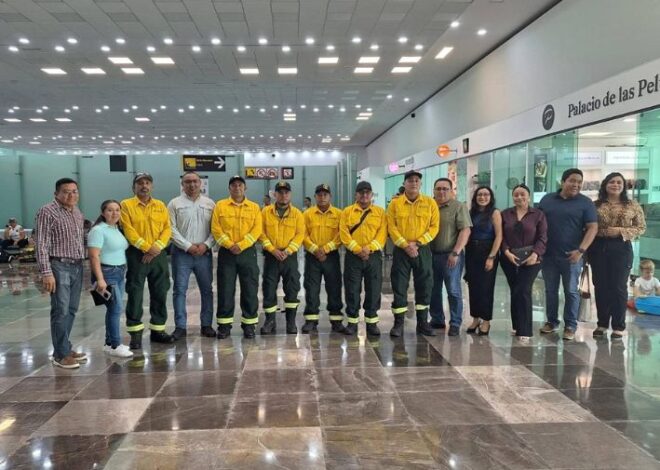 16 brigadistas de Quintana Roo viajan a Canadá para combatir incendios