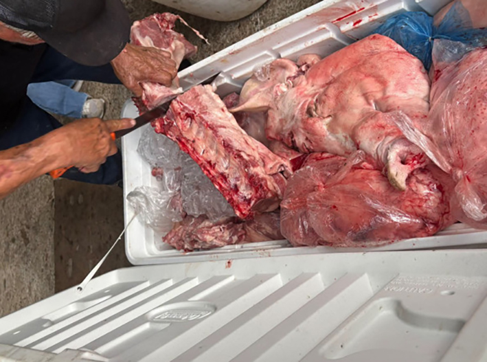 Alerta en Cozumel: denuncian venta de carne sin control sanitario