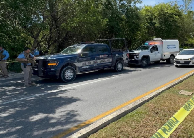 Hallan un cadáver en el manglar de la Zona Hotelera de Cancún