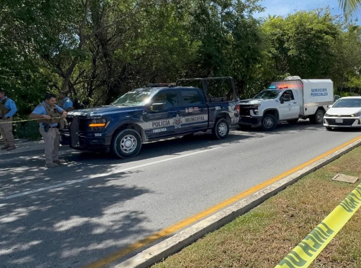 Hallan un cadáver en el manglar de la Zona Hotelera de Cancún