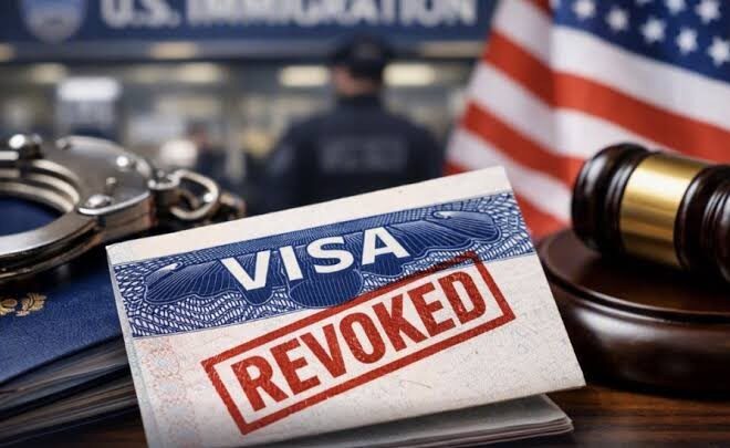 EU revoca más de 175 mil visas y revela las principales causas