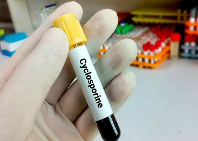 Brote mortal: la ciclosporiasis cobra sus primeras vidas en Estados Unidos
