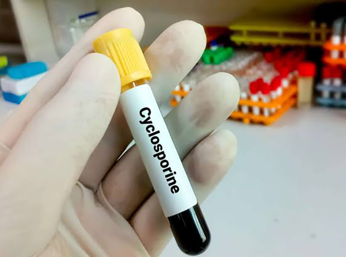 Brote mortal: la ciclosporiasis cobra sus primeras vidas en Estados Unidos