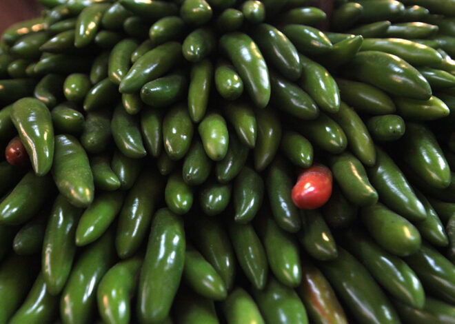 Jalapeños bajo sospecha: Salud descarta Salmonella Javiana en Nuevo León