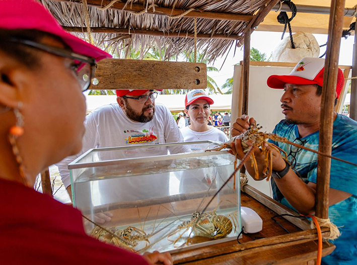 ¡A comer se ha dicho! Tulum pone sabor al Festival de la Langosta 2026