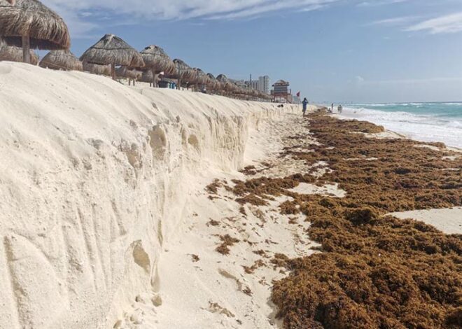 Van por rescate de playas en Quintana Roo: meterán mano a 33.5 kilómetros de litoral