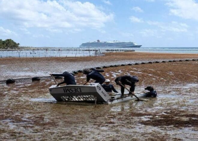Reforzarán acciones contra el sargazo en Mahahual tras acuerdo con Sheinbaum