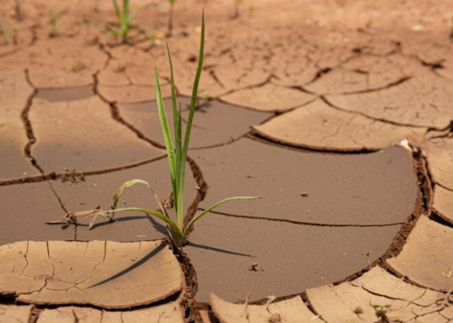 El Salvador y Panamá declaran alerta máxima por sequía por El Niño