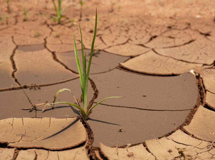 El Salvador y Panamá declaran alerta máxima por sequía por El Niño