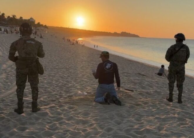 Protegen a 140 tortugas y recuperan 10 mil huevos en Cabo San Lucas