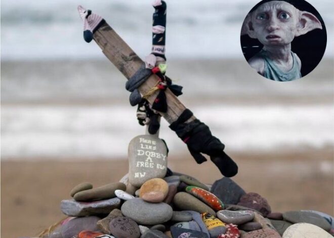 Fans de Harry Potter logran desviar obra eléctrica en tumba de Dobby